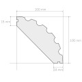 100x100_ryfel_2_przekrój.jpg