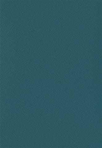Folia PVC 19